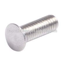 Auto Customized pan mini drilling thread cutting insert screw